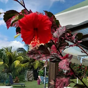 Zen Paradise Sainte-Anne (Grande-Terre)